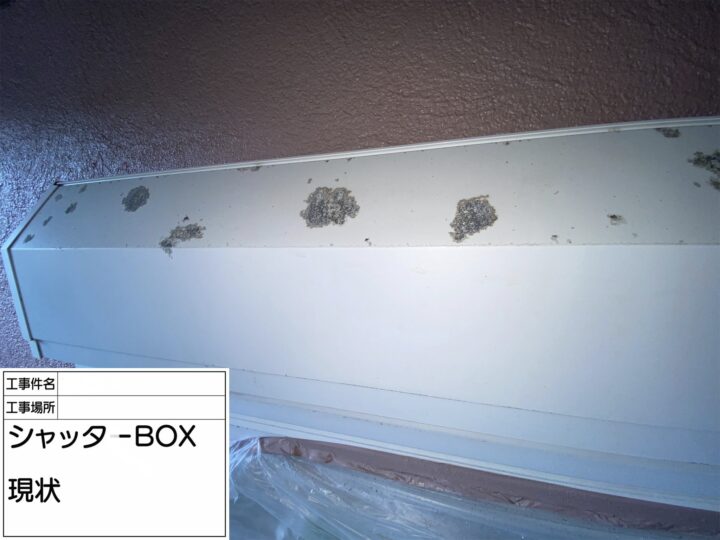 【シャッターBOX】現状