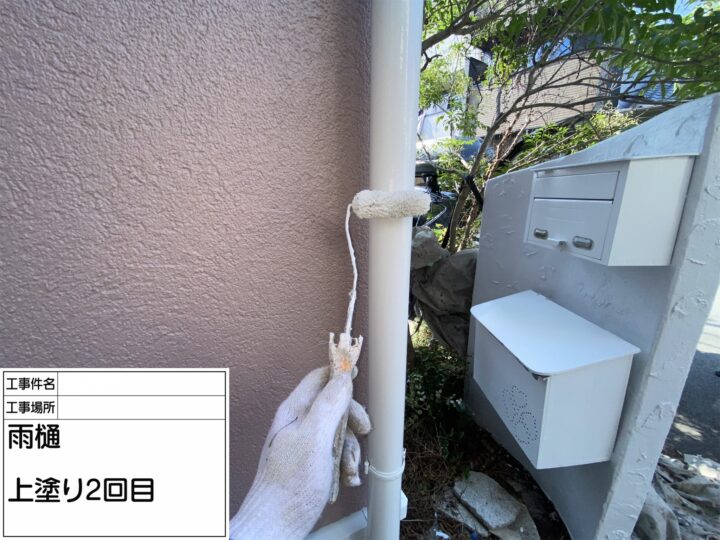【雨樋】上塗り